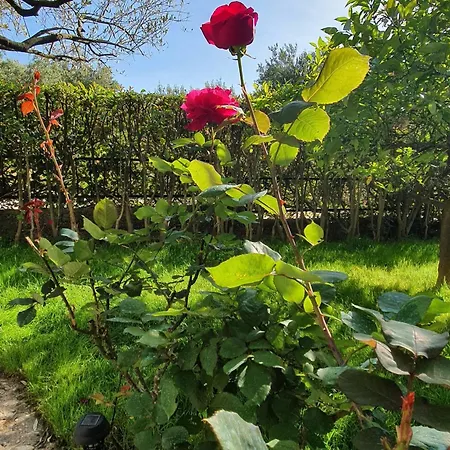 With Parking Space Podaca, Makarska - 6055 *