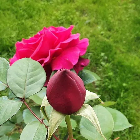 With Parking Space Podaca, Makarska - 6055 Apartamento *